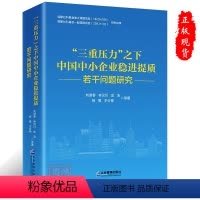 [正版]“三重压力”之下中国中小企业稳进提质若干问题研究企业管理出版社9787516427156