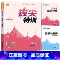 [单本]语文(人教版) 六年级下 [正版]三年级下册拔尖特训一年级二年级四五六年级上册语文数学英语人教版pep北师大苏教