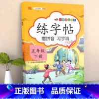 语文同步练字帖 五年级下 [正版]2024新版 五年级下册字帖 小学生同步练字帖练字每日一练人教版语文生字写字课课练五下