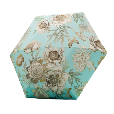 天堂 防紫外线阳伞五折黑胶防晒轻便胶囊伞 拾光