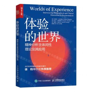 [N]体验的世界(精神分析主体间性理论及其应用)-9787115620491