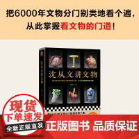 沈从文讲文物 沈从文后半生心血之作 分门别类看遍6000年文物 掌握看文物的门道 全彩精装 近200张文物图 文物考古书