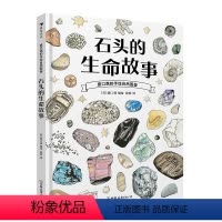 石头的生命故事 [正版]浪花朵朵 盛口满的手绘自然图鉴 石头的生命故事 7-10岁 石头地质 日本童书研究会 科普百
