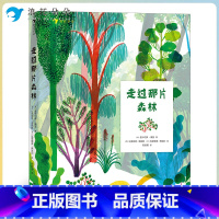走过那片森林 [正版]浪花朵朵走过那片森林 6岁以上 立体纸雕绘本书 童书 三位艺术家联手打造 拓展纸质书无限可能