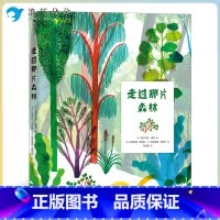 走过那片森林 [正版]浪花朵朵走过那片森林 6岁以上 立体纸雕绘本书 童书 三位艺术家联手打造 拓展纸质书无限可能