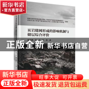 正版 页岩缝网形成的影响机制与储层综合评价 赵金洲,任岚,沈