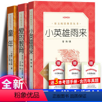 [全3册]小英雄雨来+童年+爱的教育+考题册 [正版]全3册童年高尔基+爱的教育+小英雄雨来管桦著 六年级上册的阅读课外