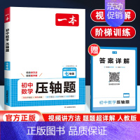 数学压轴题 七年级/初中一年级 [正版]2025版七年级数学压轴题初中数学几何模型应用题函数有理数方程初一必刷题上下册通