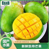 [苏鲜生] 新鲜凯特芒 净重3斤装 特大果 单果600g左右 整箱新鲜现摘热带时令水果甜心芒应季水果1