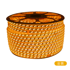 格瑞捷(geruijie) LED彩灯带 LED-100米 白 220V 米