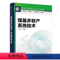[正版]文 煤炭清洁转化技术丛书:煤基多联产系统技术 9787122399816 3