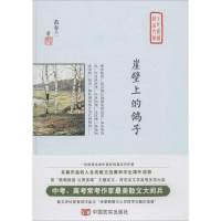 音像崖壁上的鸽子范春兰 著;凌翔,王金友 丛书主编