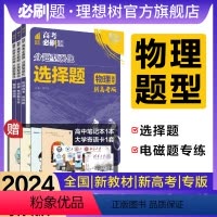 物理[2本套] 新高考版 [正版]理想树2024新版高考必刷题分题型强化物理选择题电磁学专练高三高考物理专项提升训练模拟