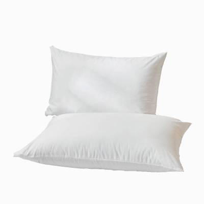 浩博时代 纯棉枕套 60*90CM 只