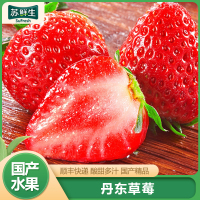 [苏鲜生]顺丰快递 丹东草莓 净重2.8斤 单果20-30g新鲜水果99草莓红颜奶油九九甜牛奶草莓