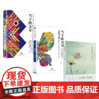 当下的力量+当下的力量实践手册+新世界 埃克哈特·托利 著 哲学