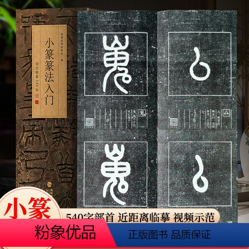 小篆篆法入门:说文部首540字 [正版]小篆篆法入门 说文部首540字 杨沂孙王福庵篆书练字帖说文解字 学生成人初学者篆
