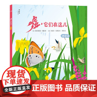 嘘,它们在这儿:池塘篇