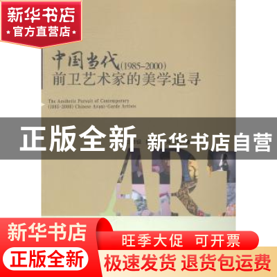 正版 中国当代(1985-2000)前卫艺术家的美学追寻 彭修银,杨爱新