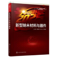 音像新型纳米材料与器件王荣明,潘曹峰,耿东生等编著
