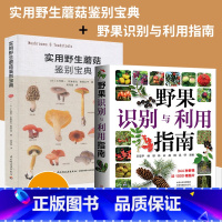 [正版]全2册野果识别与利用指南+实用蘑菇鉴别宝典野果指南书籍蘑菇图鉴植物大全书常见野果名称品种识别食用方法食疗保健与