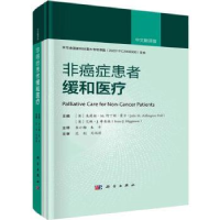 音像非癌症患者缓和医疗(中文翻译版)(精)