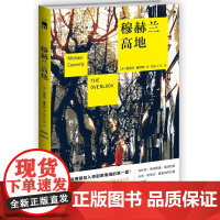 穆赫兰高地 迈克尔·康奈利 陶娟 王莹 新星出版社 正版书籍