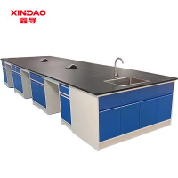 鑫导 实验台 SYT161-钢木中央台定制 米