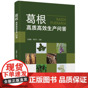 葛根高质高效生产问答 王爱勤何龙飞著 葛根野葛葛根种植葛根生产葛生产栽培生产农业农业农艺农业技术农业生产作物栽培栽培