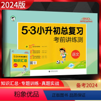 [正版]2024版53小升初总复习考前讲练测语文通用版小儿郎五三5.3小学六年级毕业升学总复专项专题训练小升初真题卷模