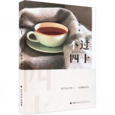 正版新书]不过四十安欣 著9787531755678