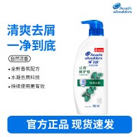海飞丝去屑洗发水止痒呵护型430g 去屑止痒 清爽柔顺去油洗发水控油