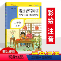 [正版]看拼音写词语生字注音课文填空二年级上册 人教版 小学生字词同步训练练习册 彩绘注音 小学2上语文教辅资料书天天