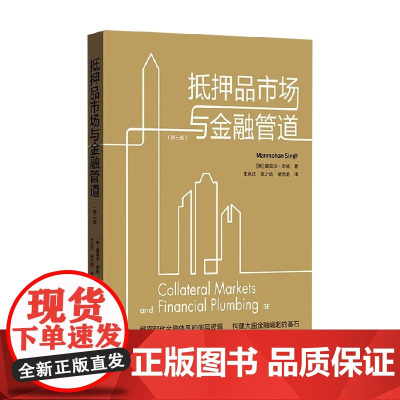 抵押品市场与金融管道 第三版 曼莫汉·辛格 著 金融与投资