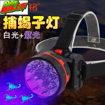 蝎子灯捕蝎灯照蝎子专用紫光灯捉抓逮蝎灯充电豆虫灯头戴电筒