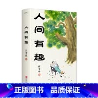 [正版]人间有趣 文学大师汪曾祺小说经典 汪曾祺 著 汪曾祺先生小说集 风土人情 由乡村扩展到市井 传统文化 中国近代