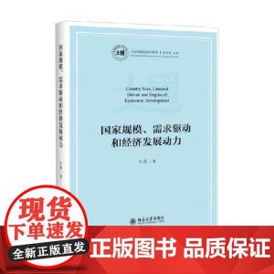 国家规模 需求驱动和经济发展动力 杜焱 著 经济