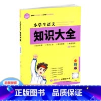 语文 小学升初中 [正版]思脉图书 小学生语文知识大全 全彩通用版知识梳理文学常识国学名著作文指导新型阅读低年级学习工具