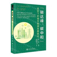 [N]碳达峰碳中和目标下的城市能源发展路径(精)/未来能源技术系列-9787313283429