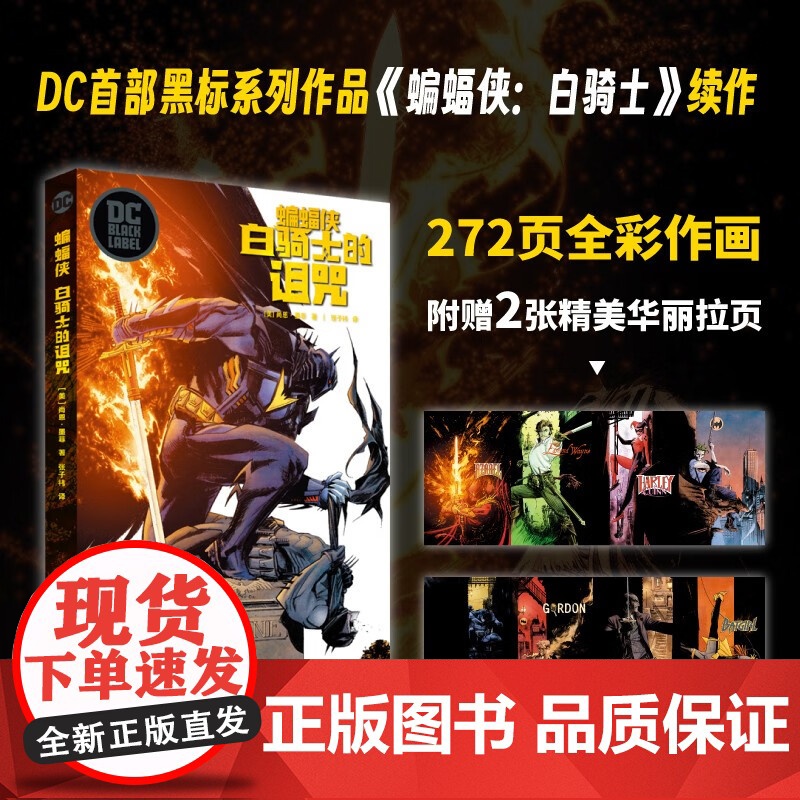 蝙蝠侠 白骑士的诅咒 尚恩·墨菲 著 动漫