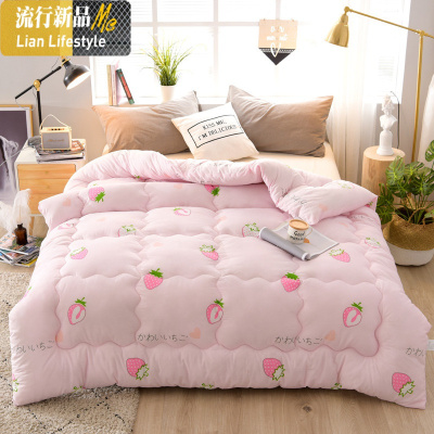 被子冬被芯加厚保暖太空宿舍冬天单人学生双人空调春秋冬季棉被 三维工匠