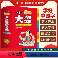 小学生多功能大语文字典 小学通用 [正版]小学生多功能大语文字典(彩图大字版)小学1-6年级字词典工具书多音字易错字字典