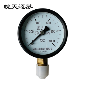 皖天迈苏 弹簧管压力表 Y-60 块