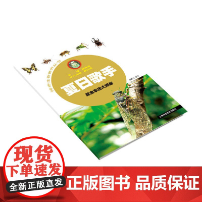 夏日歌手——昆虫军团大揭秘