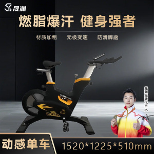 晟渊 磁控动感单车商用高级健身车室内自行车运动健身器材 YP0281