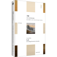 音像力量 美学人类学的基本概念(德)克里斯托弗·孟柯