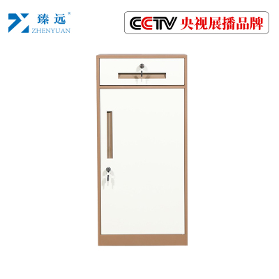 臻远钢制带锁铁皮柜资料柜储物柜 一抽咖色