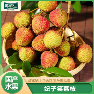 [苏鲜生]新鲜妃子笑荔枝 净重4.5斤 单果18g+