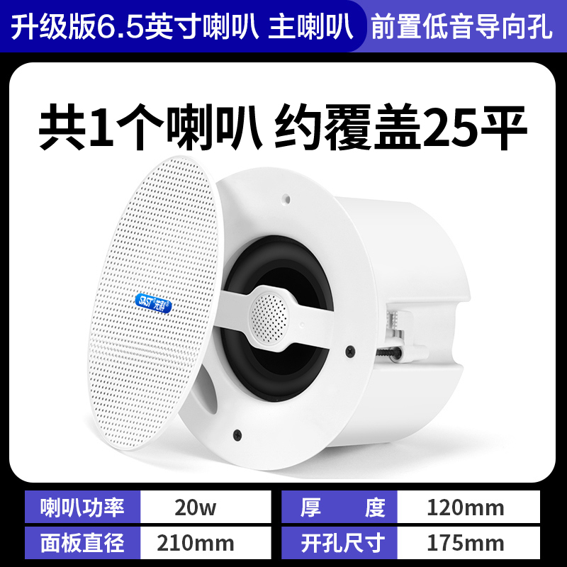 先科(SAST)G4 无线蓝牙吸顶音响吊顶天花喇叭套装家装商店铺餐厅超市家用重低音同轴主机