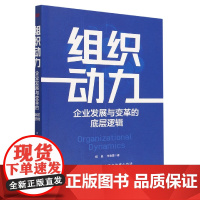 组织动力:企业发展与变革的底层逻辑 企业管理 组织